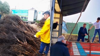 Ceviz Üretim Alanlarını Geliştirme Projesi Kapsamında 10 bin 300 Adet Fidan Dağıtımı Yapıldı