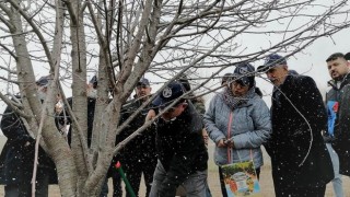 Çubuk’ta vişne üreticisi FAO eğitiminden geçecek