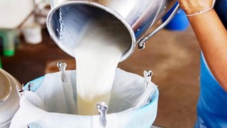 Süt Üreticileri: Hakkımız olandan vazgeçmeyeceğiz