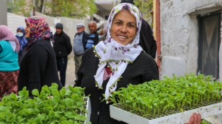 Buca Belediyesi’nden üreticiye 100 bin sebze fidesi