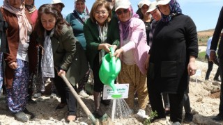 Büyükşehir, Çiftçiye Destek Olacak Tıbbi Ve Aromatik Bitkiler Ormanı Kurdu