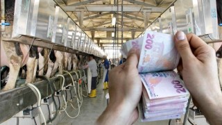 Çiftçilere 1,6 milyar liralık destek ödemesi hesaplara yatıyor
