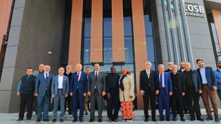 Nijerya yatırım heyeti Türk fındığına talip