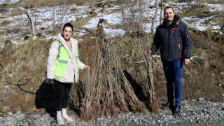 Ordu’da İpek Böcekçiliği Yaygınlaşıyor