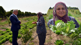 Tarsus Belediyesi Destek Verdi, Üreticiye Verilen Marulların Hasat Zamanı Geldi