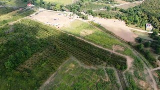 Avrupa’nın en büyük bahçesi, “Corn Maze Bahçe” Ağva’da kuruluyor