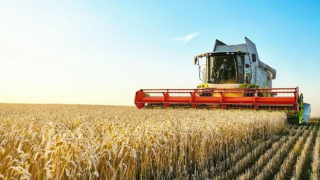 Tarımsal girdi enflasyonu yeni rekor kırdı