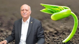 30 yıllık bir süreçte 4,8 milyon hektar tarım arazisini kaybettik