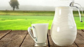 Artan girdi maliyetleri süt üreticilerini zorluyor