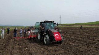 Kars, ayçiçeği tarlaları ile renklenecek