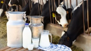 Nisanda süt üretimi yüzde 6.6 düştü