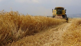 Arpa, Buğday İthalatında Dünyada İlk Üçe Girdik