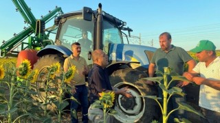 Ayçiçek’teki Çayır Tırtılı İstilasına Karşı Soru Önergesi