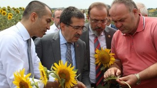 Bakan Yardımcısı Pakdil: “Rekolte kaybı olup olmadığını tahmin etmek henüz erken olur”