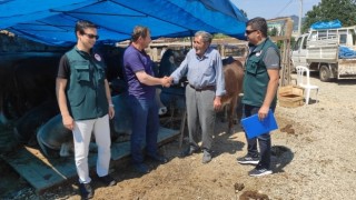 Kurban Satış Yerlerinde Gerekli Tedbirler Alınıyor