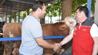 Kurbanlık Hayvanların Sağlığı Ve Refahına Daha Çok Özen Göstermek Durumundayız