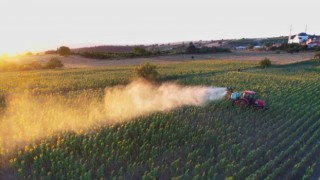 Tırtıl Basan Tarlaya İnegöl Belediyesi’nden Müdahale