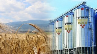 TMO Bolu’da Arpa, Buğday Alımı Yapacak
