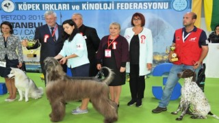 Ankara’nın Tek Pet Fuarı Eylül’de Başlıyor