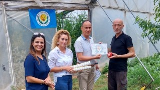 Giresun’da Örtüaltı Entegre ve Kontrollü Ürün Yönetimi Projesi Uygulanıyor