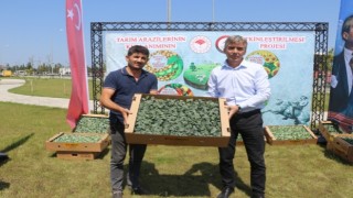 İTU ile İhracata Uygun Sebze Üretimi Projesi Kapsamında Kışlık Sebze Fideleri Dağıtıldı
