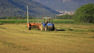 Muğla Büyükşehir Belediyesi'nden üreticiye yem desteği