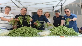 Torbalı’da Börülce Festivali coşkusu