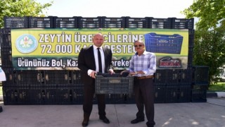 Büyükşehir zeytin üreticilerine 72 bin kasa dağıttı