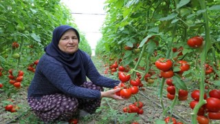 Büyükşehir’in sulama projesi Manavgat’a hayat verdi