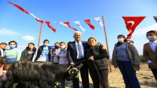 Kıl Keçisi projesi meyvelerini veriyor, kadın üreticilerin yüzleri gülüyor