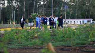 Muğla'da Tıbbi Bitkiler Koleksiyon Bahçesi'ne yakın mercek