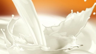 Türk Veteriner Hekimleri Birliği; süt primi 1 TL olmalı