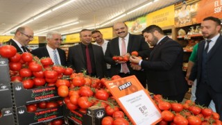 Türkiye'nin en ucuz domatesini üretiyoruz !
