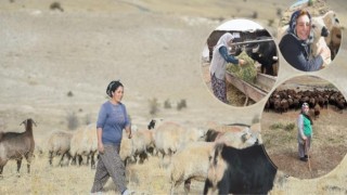 Anadolu’nun fedakâr kadın çiftçileri