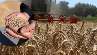 Bakan Kirişci, Tarımsal Destekleme Ödemelerinin Çiftçilerin Hesaplarına Aktarıldığını Bildirdi