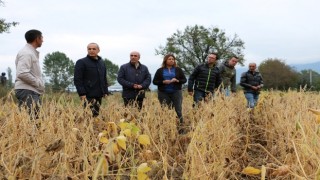 Bolu’da Soya Fasulyesinde yeni tür yeni heyecan