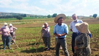 Sarıbal: Sömürü çarkının dişlileri kadın çiftçileri eziyor