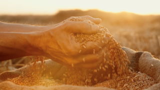 Tiryaki Agro, hasat yapan çiftçilere reklam filmiyle teşekkür etti