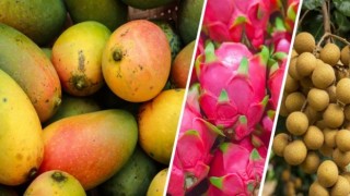 Türkiye tropik meyve yetiştiriciliği hızla artıyor