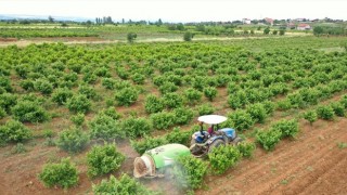 Başkan Zolan: Üretim sizden, destek bizden