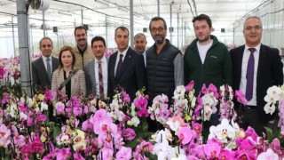 Bitkisel üretim genel müdürü Dr. Mehmet Hasdemir Yalova’lı üreticilerle buluştu