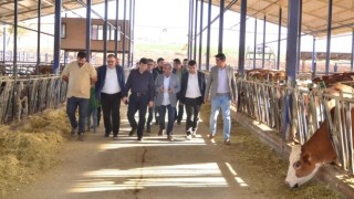 Denizli’de Süt Sektörü Değerlendirme Toplantısı Yapıldı