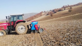 Samsun’da Buğday Ekimi Devam Ediyor