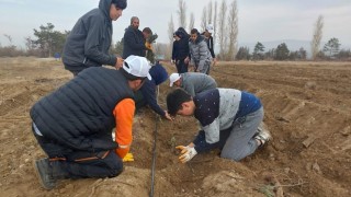 Konya Büyükşehir’in Üreticiye Lavanta Fidesi Desteği Sürüyor