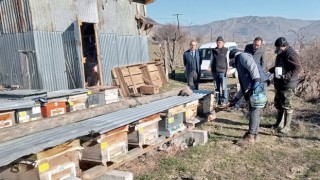 Bolu’da Varroa Zararlısına Karşı İlaçlama Çalışmaları Yapıldı
