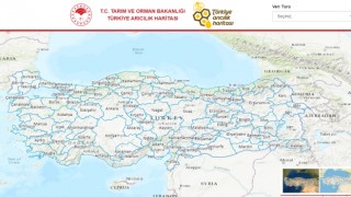 Türkiye'nin "Arıcılık Haritası" Oluşturuldu