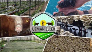 Uzman Eller Proje Desteği 250 Bin Liraya Çıkarıldı