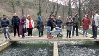 Bolu’da Üreticilere Balık Yetiştiriciliği Eğitimi Veriliyor