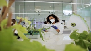 Bayer ve Kimitec, yeni nesil biyolojik tarım ürünleri için güçlerini birleştiriyor