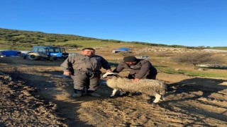 Denizli Depremden Etkilenen Üreticilerimizi de Unutmadı